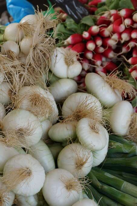 Fairs and markets at Pompadour (copie)