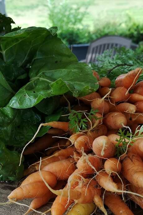 Marché de Perpezac-le-Noir