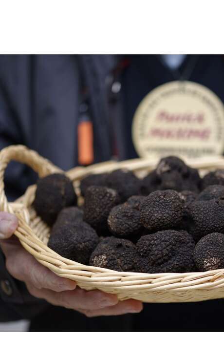 Truffle market - Sunday mornings in December and January - Sorges