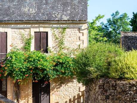 Boucle des Cabanes n °9 / Sergeac