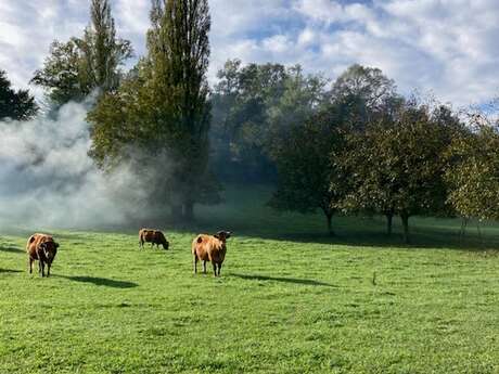 Boucle de l'Abbatiale