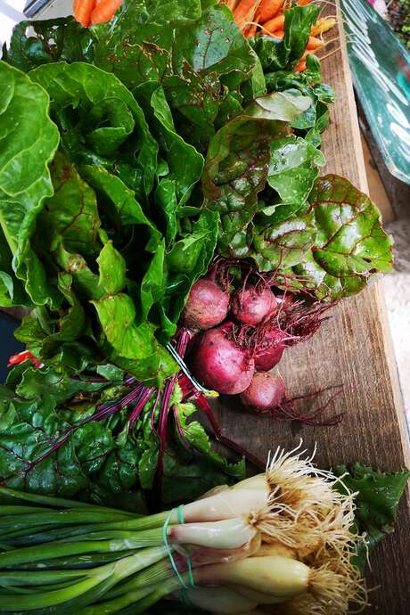 Fête annuelle (copie)